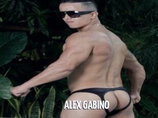 ALEX_GABINO