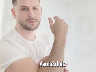 AaronSchulz