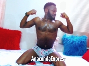 AnacondaExpress