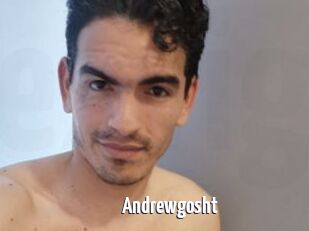 Andrewgosht