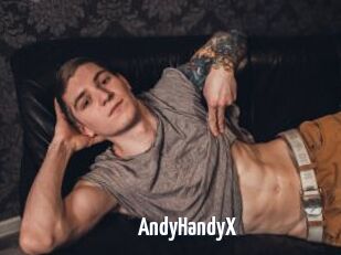 AndyHandyX