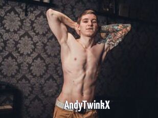 AndyTwinkX