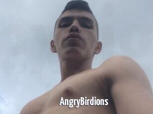 AngryBirdions