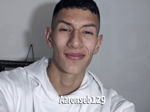 Aaronseb129