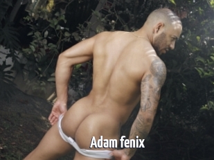 Adam_fenix