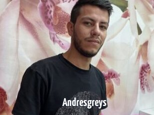 Andresgreys