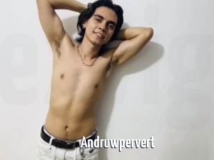 Andruwpervert