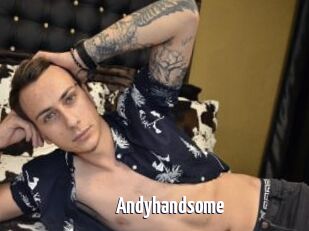 Andyhandsome