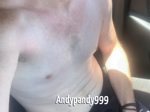 Andypandy999