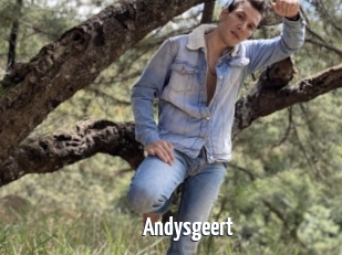 Andysgeert