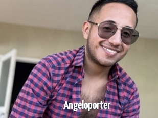 Angeloporter