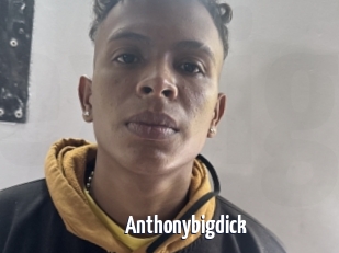 Anthonybigdick