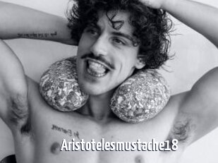 Aristotelesmustache18