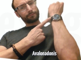 Avalonadonis