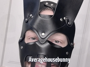 Averagehousebunny