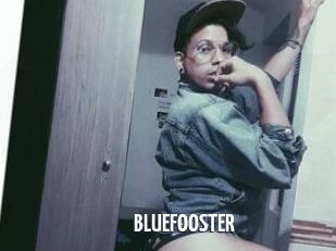 BLUEFOOSTER