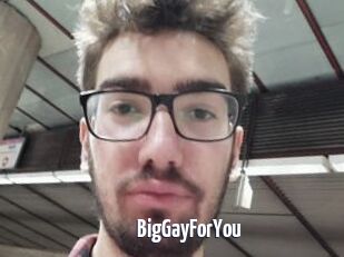 BigGayForYou