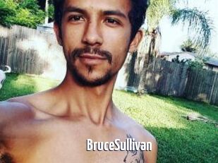 Bruce_Sullivan