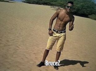 BruceZ