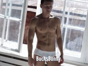 BucksBunny