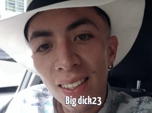 Big_dick23