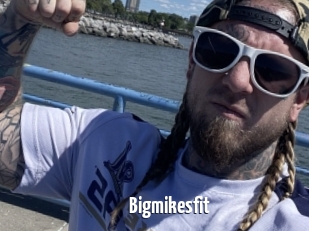 Bigmikesfit