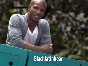 Blacklatinbear