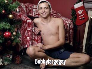 Bobbylargegay