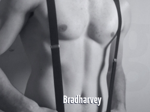 Bradharvey