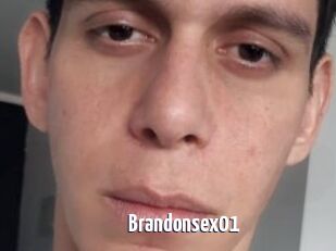 Brandonsex01