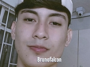 Brunofalcon