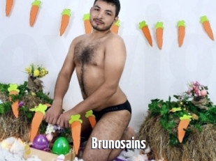 Brunosains