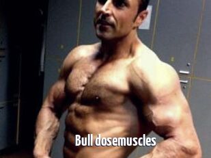 Bull_dosemuscles