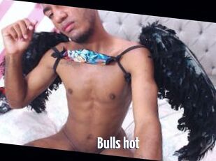 Bulls_hot