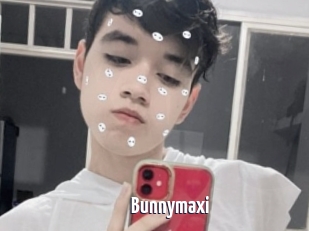 Bunnymaxi