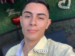 Cegavoy