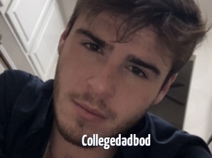 Collegedadbod