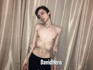 DavidHero