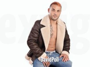 DavidPoll