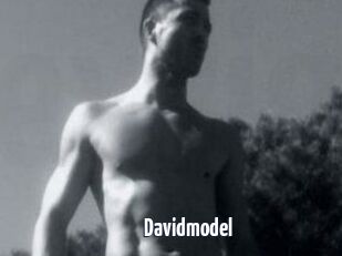 Davidmodel