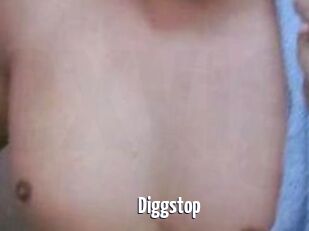 Diggstop