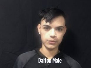 Dalton_Male