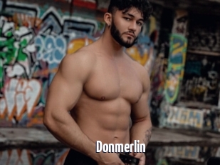 Donmerlin