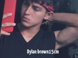 Dylan_brown15cm