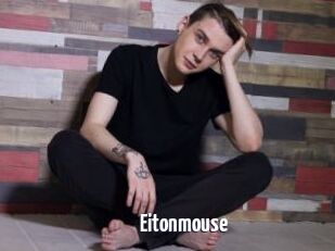 Eitonmouse