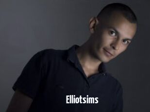 Elliotsims