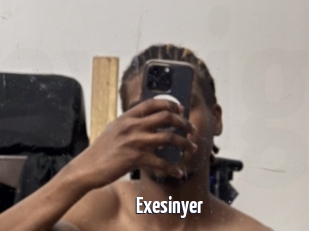 Exesinyer