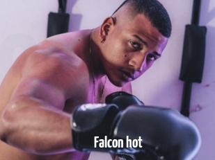 Falcon_hot