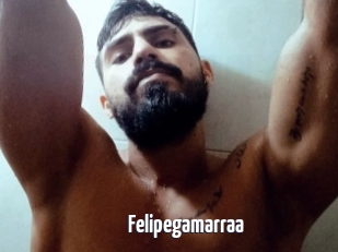 Felipegamarraa