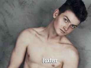 Foxterr